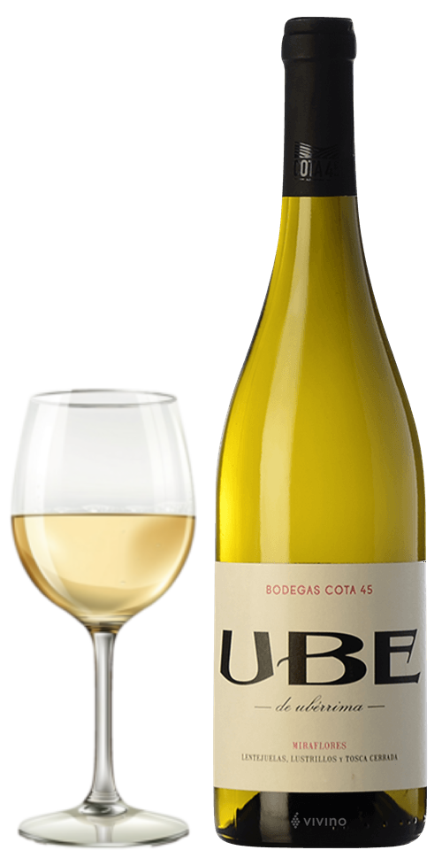 Ramiro Ibanez UBE Miraflores